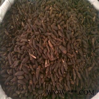 统香附 产地安徽省亳州市谯城区 13元/公斤 库存300公斤 可售图2