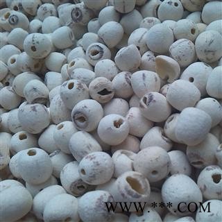 莲子 优 产地 湖南省湘潭市市辖区图3