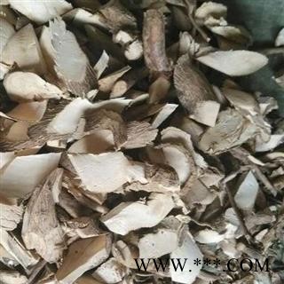 小丽百草行黄花倒水莲  黄花大远志 观音串 黄花远志 吊黄 倒吊黄花图2