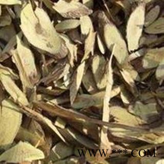 铁包金 鼠乳根 勾儿茶 常青藤 选 产地 广西壮族自治区 批发各种冷背中草药个子图2