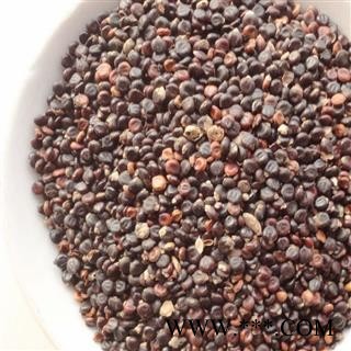 煜庭药业 水红花子 水红花籽图2