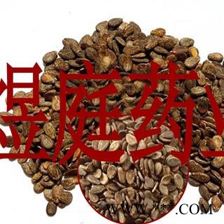 煜庭药业 西瓜子 西瓜籽正品图1