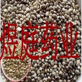 菠菜子 青菜籽 青菜子 菠菜子 菠菜籽正品图4