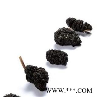 桑椹 优 产地 安徽省亳州市谯城区 双鹏药材行 可提供打粉图3