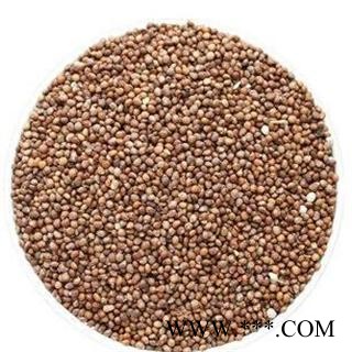 苏子 统 产地 安徽省亳州市谯城区图2