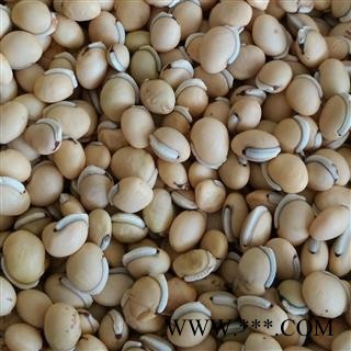 正品黑门白扁豆生白扁豆 炒白扁豆；图2