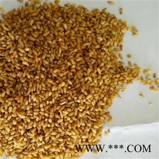 纯净；无壳；无假 柏子仁图3