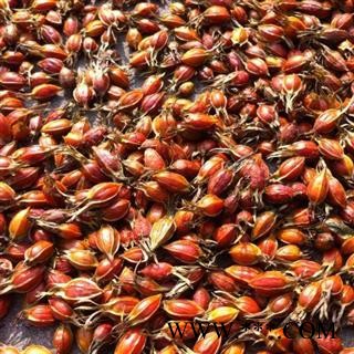 栀子 野生 江西红栀子 黄栀子 含量足 产地 江西省 买好找娟子图2