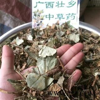 广西壮乡中草药 野生 扶芳藤 千斤藤 岩青藤 产地 广西柳州图4