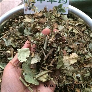 广西壮乡中草药 野生 扶芳藤 千斤藤 岩青藤 产地 广西柳州图2