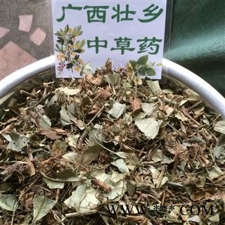 广西壮乡中草药 野生 扶芳藤 千斤藤 岩青藤 产地 广西柳州图3