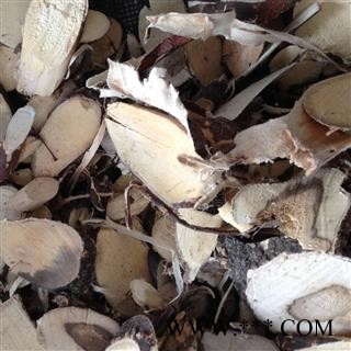 金雀根 木质金雀根 统货 产地 云南省图2