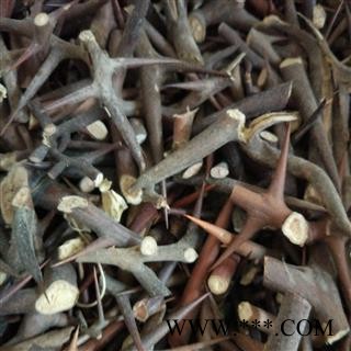 皂针 正品3年生选装大皂刺 针粗药效好 手工采剪产地直销图2