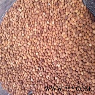 煜庭药业 郁李仁图3