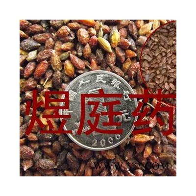 煜庭药业 石榴籽 石榴子 正品