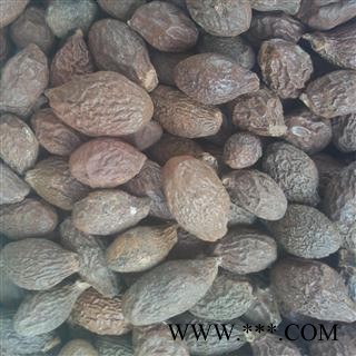 胖大海 山东 产地 广西壮族自治区图2