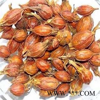 煜庭药业 栀子 小栀子图4