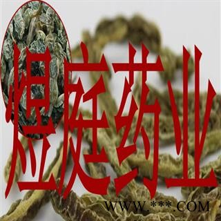 煜庭药业 槐角图2