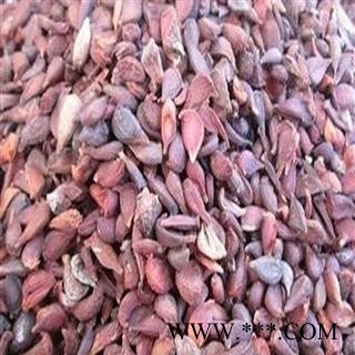 煜庭药业 木瓜 木瓜籽  木瓜核 返现进行中图3