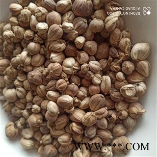 白豆蔻 白豆蔻统货 产地 广西壮族自治区图3