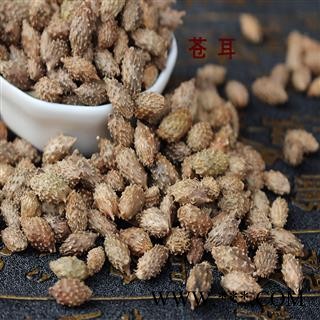 煜庭药业 苍耳子 新货图3