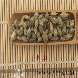 煜庭药业 苍耳子 新货图2