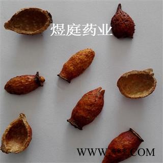煜庭药业 金樱子 金樱子肉图3