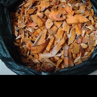 苏木 2022 产地 广西壮族自治区梧州市苍梧县图2