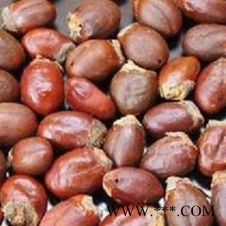 煜庭药业 荔枝核 返现进行中图2