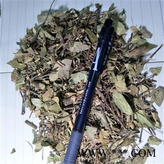 络石藤 络石藤统段 产地 湖北省图4