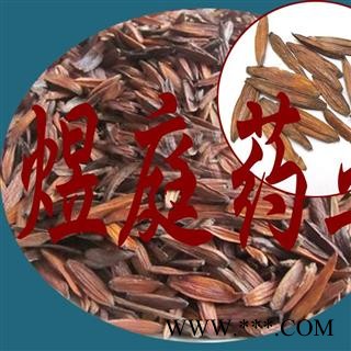 煜庭药业 喜树果 千丈树、水栗子、天梓树图4