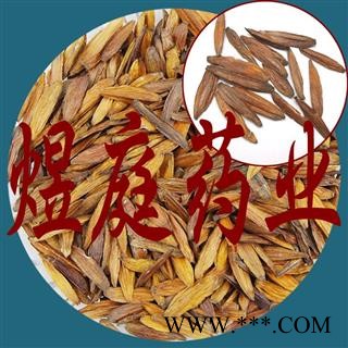 煜庭药业 喜树果 千丈树、水栗子、天梓树图3