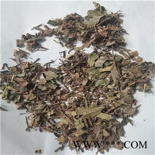 络石藤 统 产地 湖北省宜昌市图3