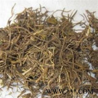 小丽百草行菟丝藤 菟丝子藤 菟丝草图2