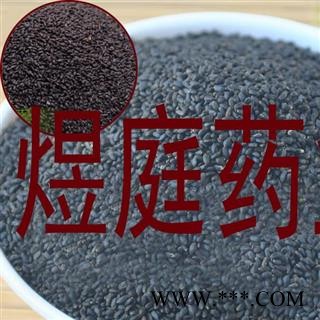 煜庭药业 罗勒子 罗勒籽 兰香子 正品图4