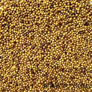 煜庭药业 白芥子图3