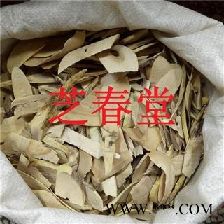 中药材 接骨木 扦扦活 接骨风 接骨丹 续骨木舒筋树 正品图4