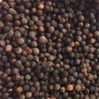 芝春堂 各种冷背药材批发零售 樟树籽 樟树子 产地四川 支持验货图3