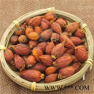 栀子 栀子统个 产地 福建省 新货 量多从优图2