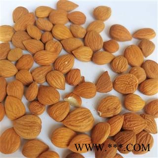 正品苦杏仁带皮苦杏仁量大从优 同稳药材正品保证图3