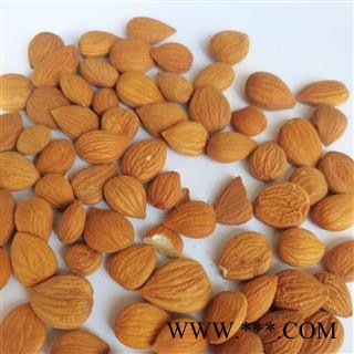 正品苦杏仁带皮苦杏仁量大从优 同稳药材正品保证图4