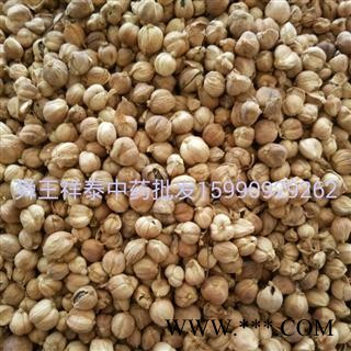 优质白寇白扣 豆蔻 白豆蔻色泽好价格低无硫好货图2