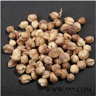 白豆蔻  白蔻 白豆蔻统货 产地 广西壮族自治区  批发零售各种规格 中药材 代加工超细粉