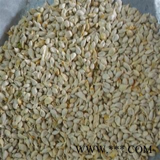 纯白橘核 统 产地 江苏省图3