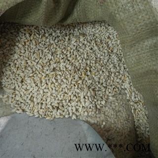 纯白橘核 统 产地 江苏省图2