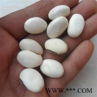 刀豆 白刀豆 刀豆子、大戈豆、大刀豆 白凤豆、白刀豆、洋刀豆、立刀豆产地 广西壮族自治区 买好药找娟子图2