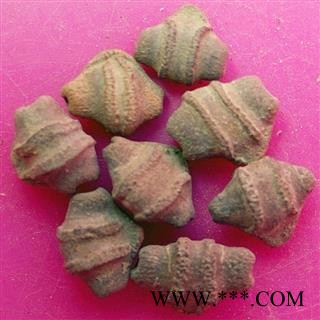 煜庭药业 王瓜子 赤雹子、马雹儿子、土瓜仁、土瓜子图3