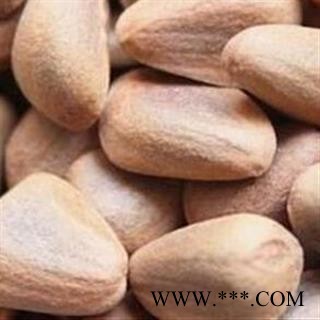 煜庭药业 海松子 海松籽 正品图2