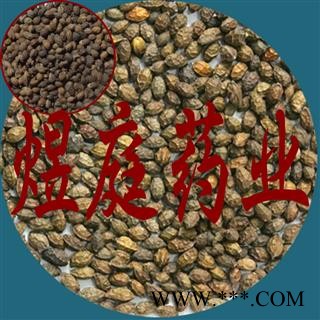 煜庭药业 鸭胆子图4