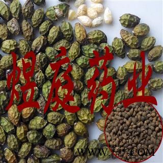 煜庭药业 鸭胆子图2